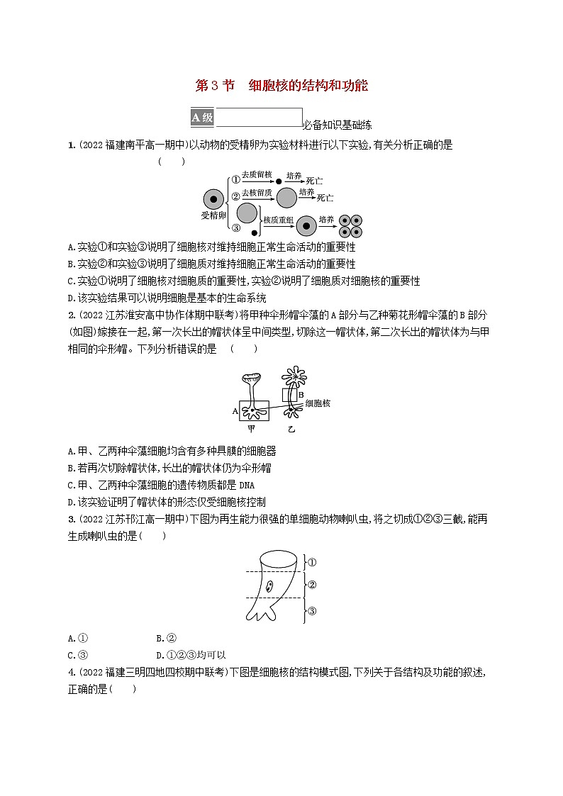 2022_2023学年新教材高中生物第3章细胞的基本结构第3节细胞核的结构和功能课后习题新人教版必修1第1页