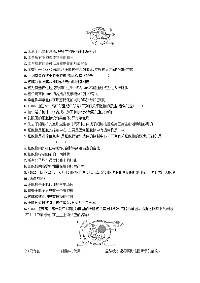 2022_2023学年新教材高中生物第3章细胞的基本结构第3节细胞核的结构和功能课后习题新人教版必修1第2页