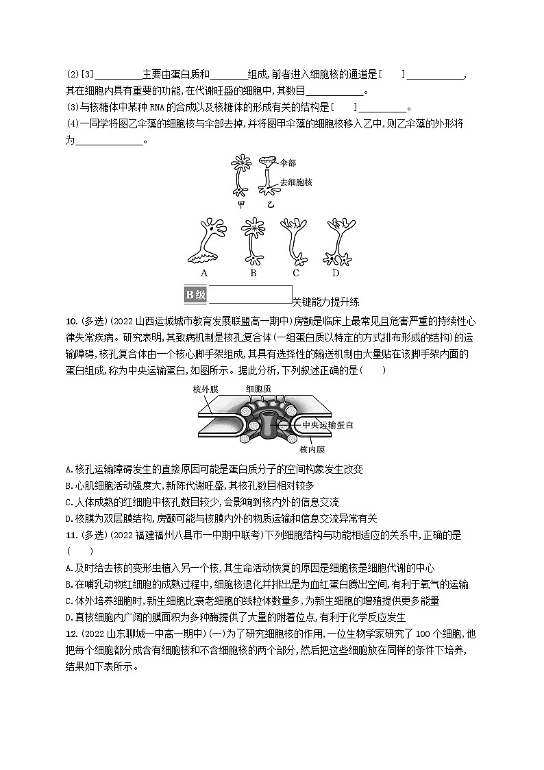 2022_2023学年新教材高中生物第3章细胞的基本结构第3节细胞核的结构和功能课后习题新人教版必修1第3页