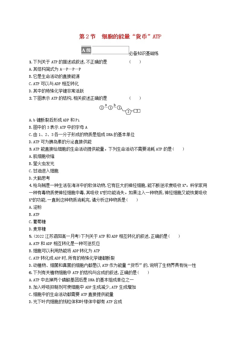 2022_2023学年新教材高中生物第5章细胞的能量供应和利用第2节细胞的能量“货币”ATP课后习题新人教版必修101