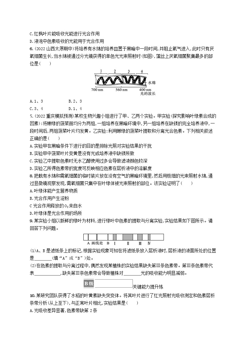 2022_2023学年新教材高中生物第5章细胞的能量供应和利用第4节光合作用与能量转化第1课时捕获光能的色素和结构课后习题新人教版必修102