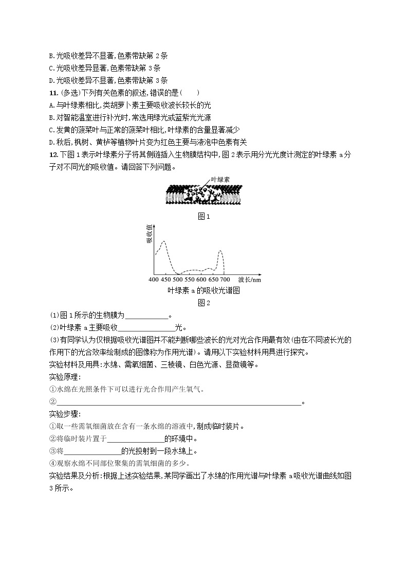 2022_2023学年新教材高中生物第5章细胞的能量供应和利用第4节光合作用与能量转化第1课时捕获光能的色素和结构课后习题新人教版必修103