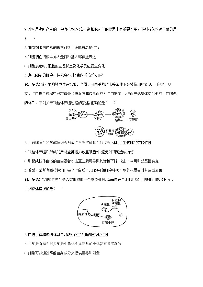 2022_2023学年新教材高中生物第6章细胞的生命历程第3节细胞的衰老和死亡课后习题新人教版必修1第3页