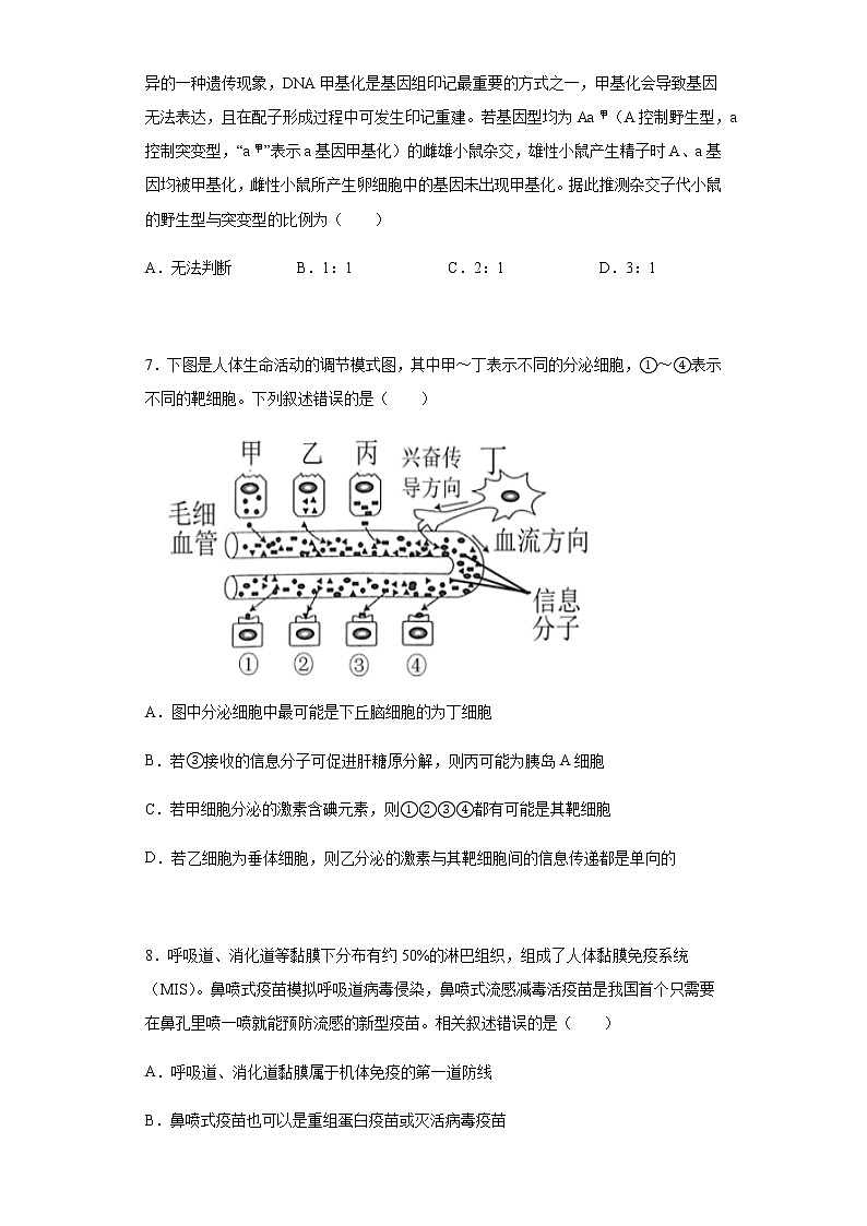 2022届辽宁省沈阳市二中高三四模生物试题含解析03