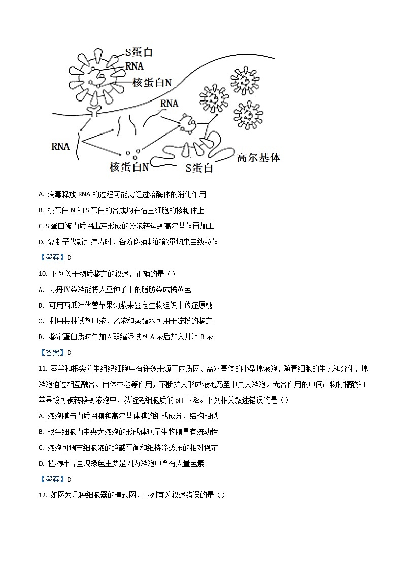 2023届河南省洛阳市强基联盟新高三摸底大联考试题生物Word版含答案03