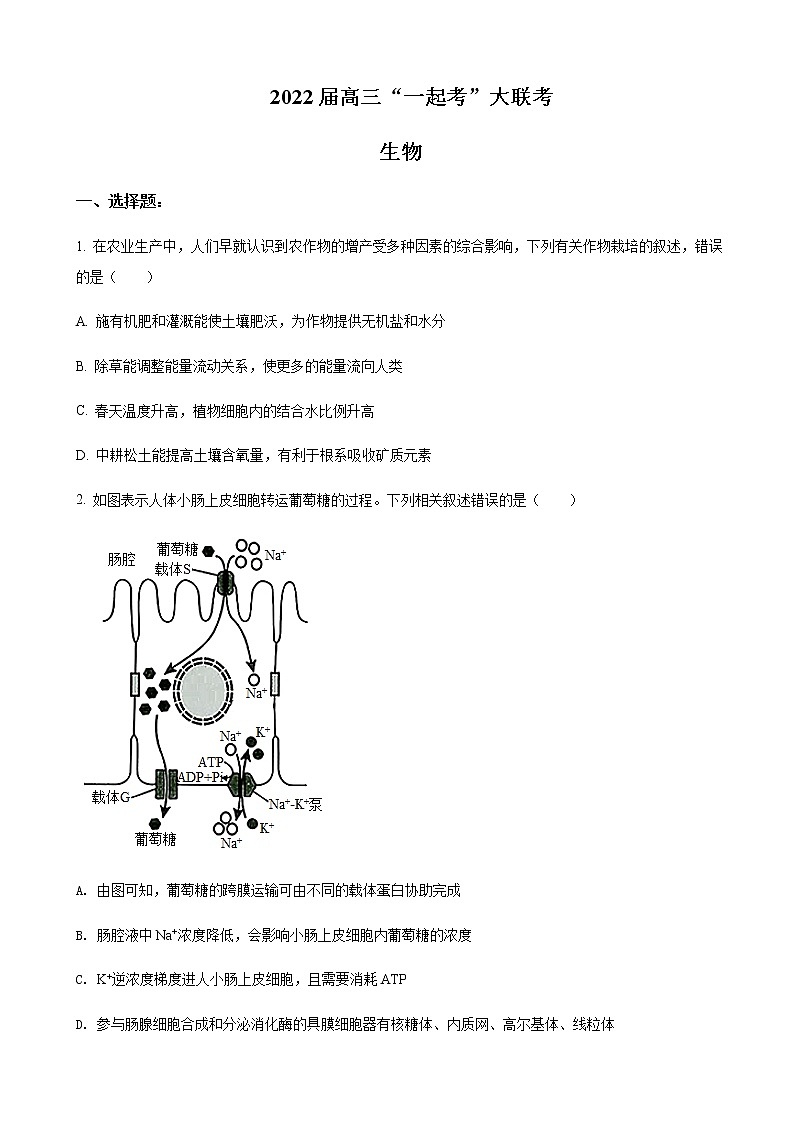 2022届湖南省师大附中部分学校高三下学期“一起考”大联考生物试题含答案第1页