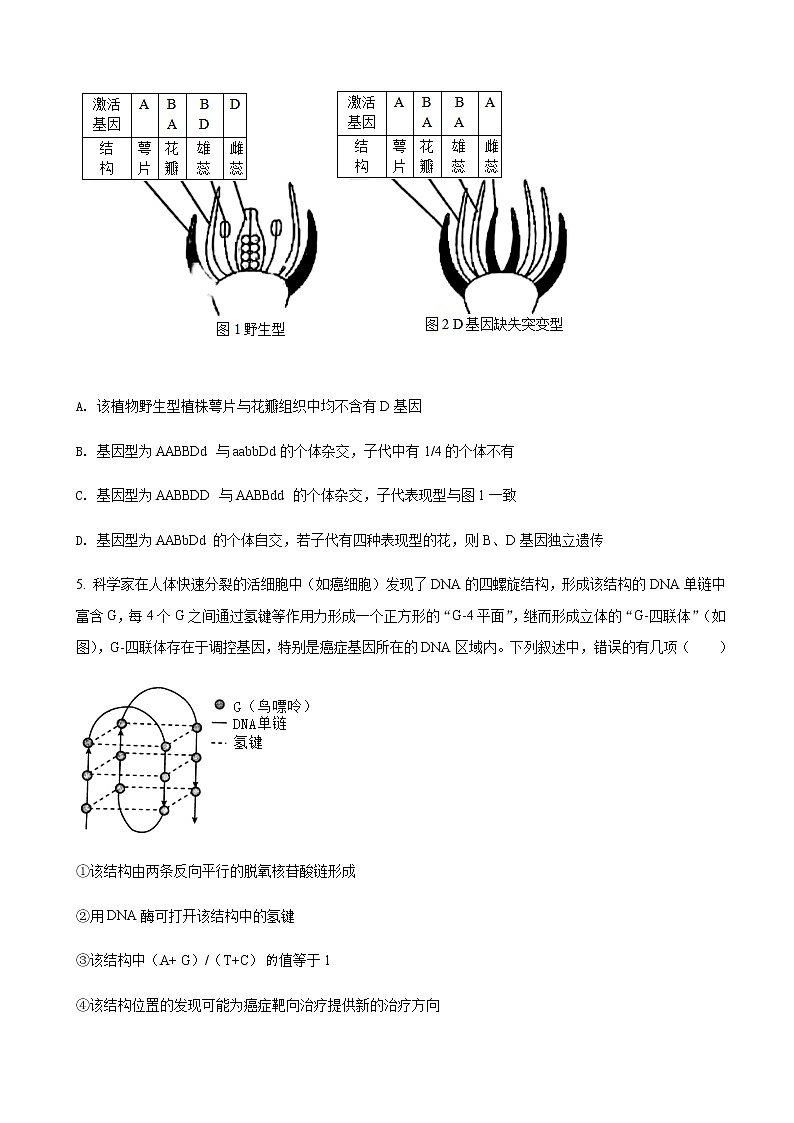 2022届湖南省师大附中部分学校高三下学期“一起考”大联考生物试题含答案第3页