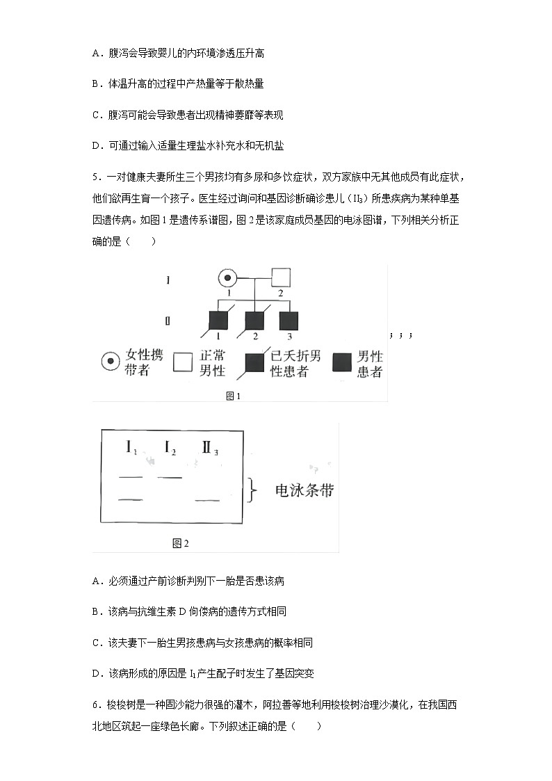 2022届吉林省长春市高三临考押题卷(B)理综生物试题含解析02