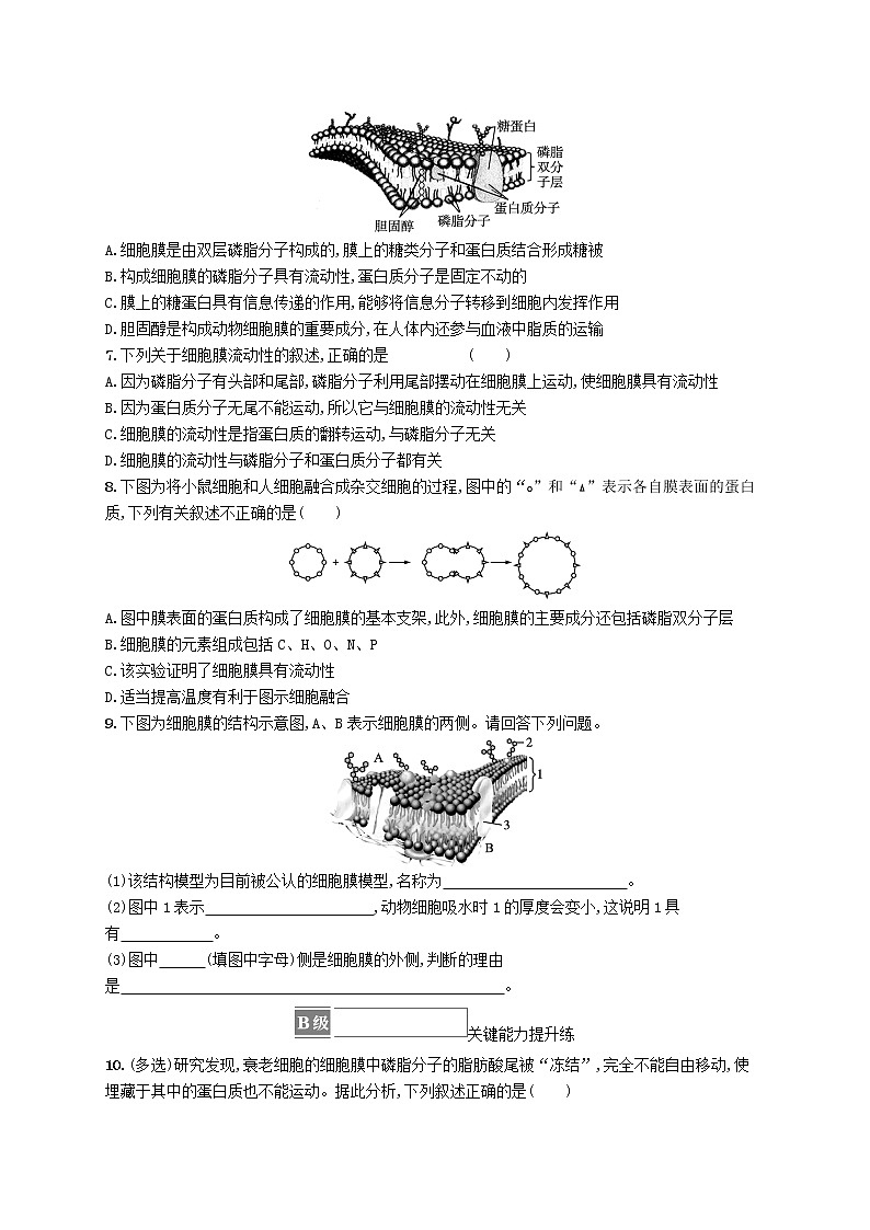 2022_2023学年新教材高中生物第3章细胞的基本结构第1节细胞膜的结构与功能课后习题新人教版必修102