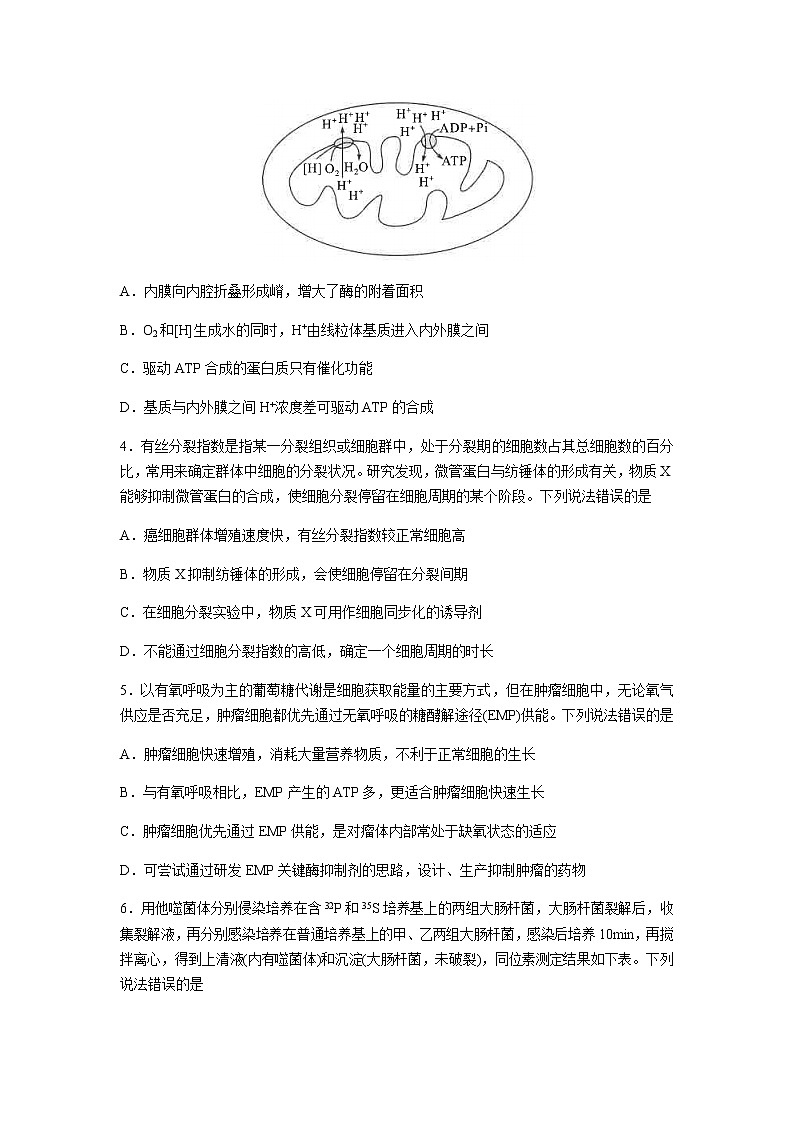 含答案第2頁