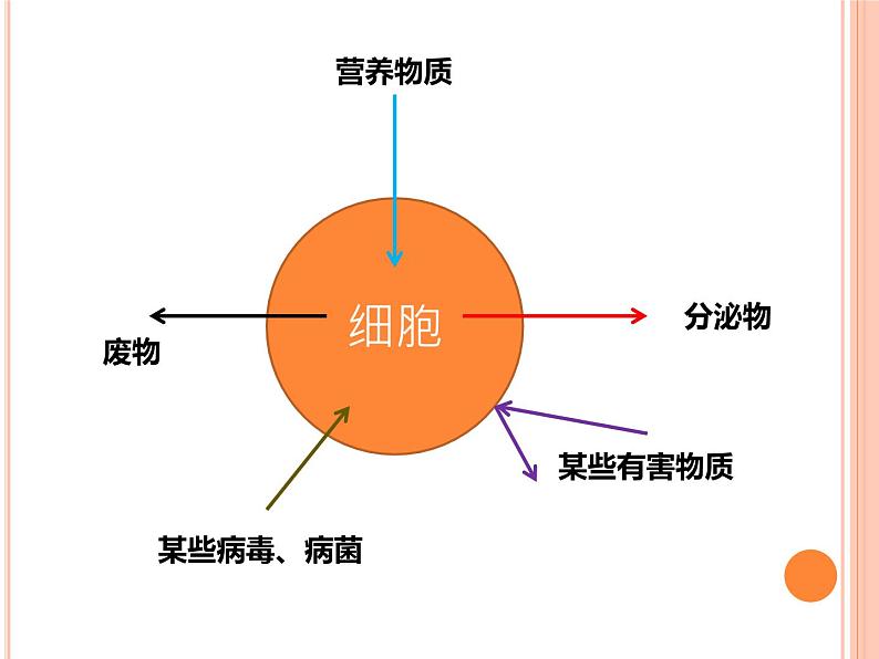 【2019人教版】必修1第3章第1节 细胞膜的结构和功能 课件PPT第5页