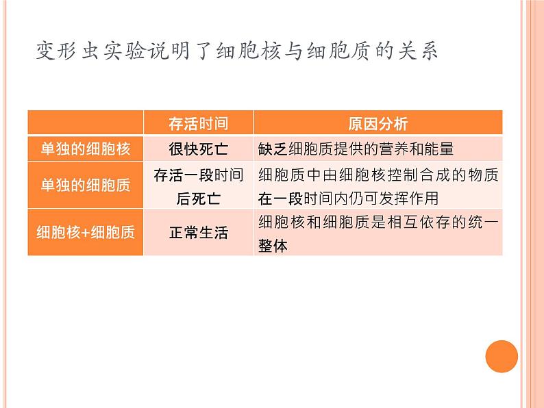 【2019人教版】必修1第3章第3节 细胞核的结构和功能 课件PPT07