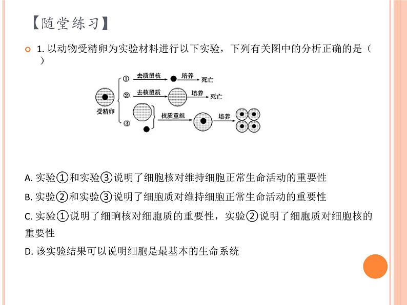 【2019人教版】必修1第3章第3节 细胞核的结构和功能 课件PPT08