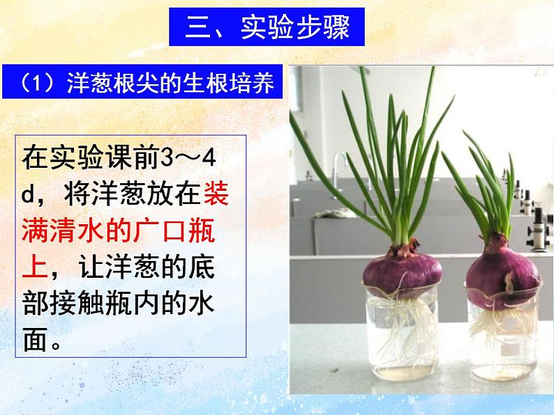 4.1细胞通过分裂增殖第三课时课件浙科版(2019)高中生物必修一05