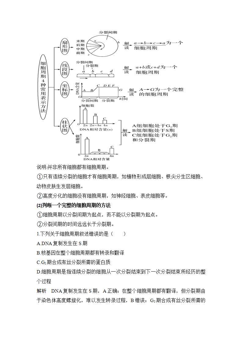 4.1细胞通过分裂增殖第一课时细胞周期学案浙科版（2019）高中生物必修一03