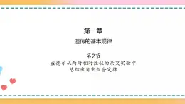 第一章 第二节 孟德尔从两对相对性状的杂交实验中总结出自由组合定律（课件）-【名校同步】2021-2022学年高一生物精品课件（浙科版2019必修2）