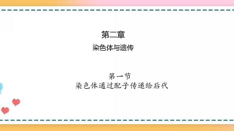 第二章 第一节 染色体通过配子传递给后代(课件)-【名校同步】2021-2022学年高一生物精品课件(浙科版2019必修2)01