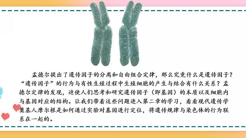 第二章 第一节 染色体通过配子传递给后代(课件)-【名校同步】2021-2022学年高一生物精品课件(浙科版2019必修2)02