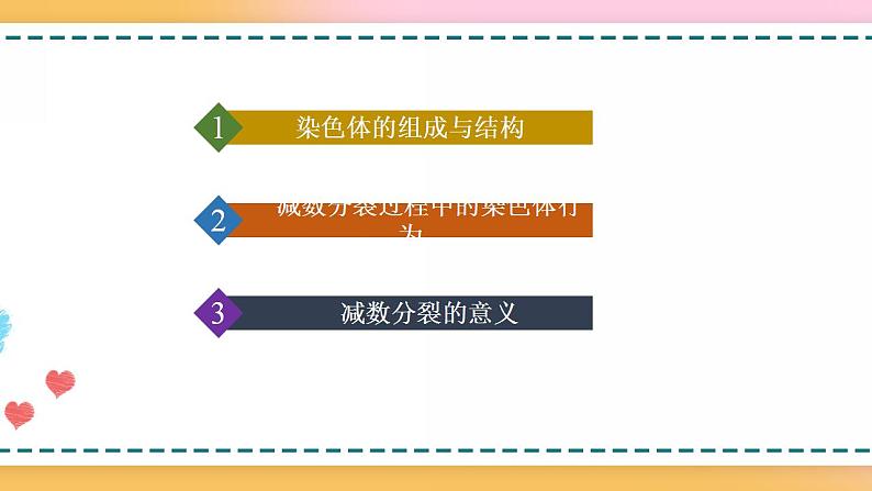 第二章 第一节 染色体通过配子传递给后代(课件)-【名校同步】2021-2022学年高一生物精品课件(浙科版2019必修2)05