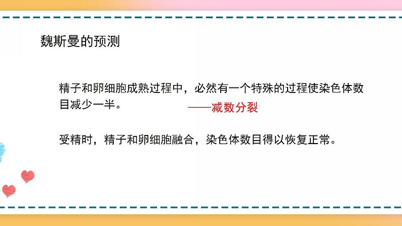 第二章 第一节 染色体通过配子传递给后代(课件)-【名校同步】2021-2022学年高一生物精品课件(浙科版2019必修2)08