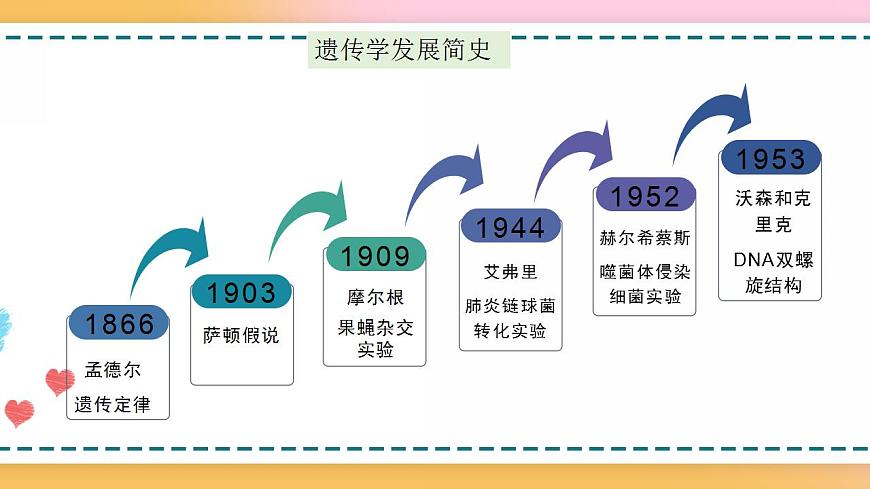 第三章 第三節(jié)  DNA通過復(fù)制傳遞遺傳信息（課件）-【名校同步】2021-2022學(xué)年高一生物精品課件（浙科版2019必修2）第5頁