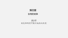 第四章 第三节 染色体畸变可能引起性状改变-【名校同步】2021-2022学年高一生物精品课件（浙科版2019必修2）