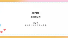 第四章 第二节 基因重组使子代出现变异-【名校同步】2021-2022学年高一生物精品课件（浙科版2019必修2）