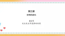 第五章 第二节 适应是自然选择的结果（课时1）-【名校同步】2021-2022学年高一生物精品课件（浙科版2019必修2）