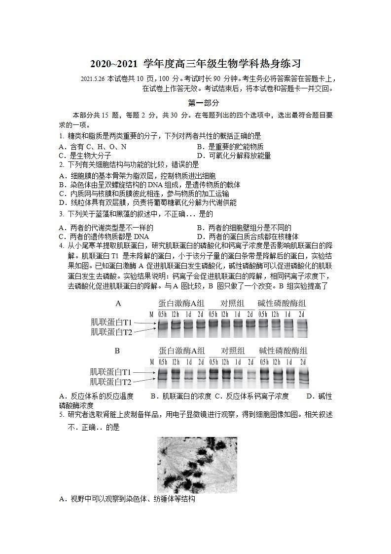 北京市中国人民大学附属中学2021届高三三模生物试题+Word版含答案第1页