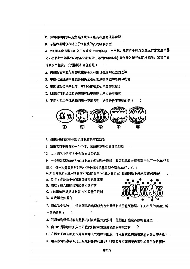 广东省六校高三第一次联考生物试题(扫描版含答案)02