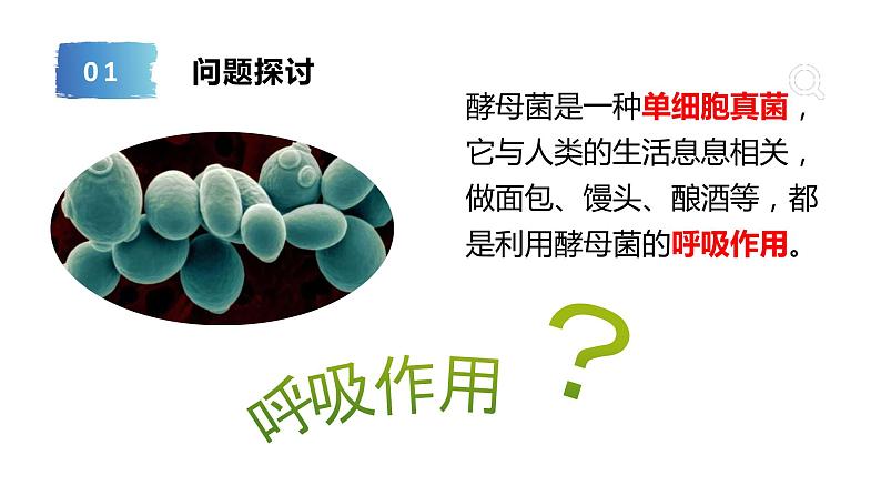5.3细胞呼吸的原理和应用课件2022-2023学年高一上学期生物人教版必修104