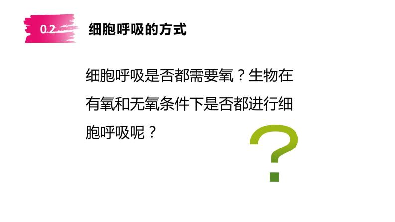 5.3细胞呼吸的原理和应用课件2022-2023学年高一上学期生物人教版必修106