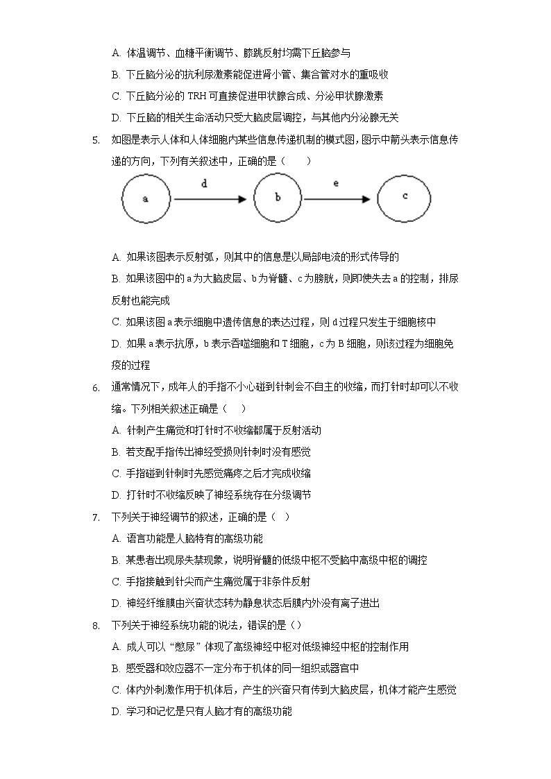 2.4神经系统的分级调节   人教版（2019）高中生物选择性必修第一册同步练习（含答案解析）02