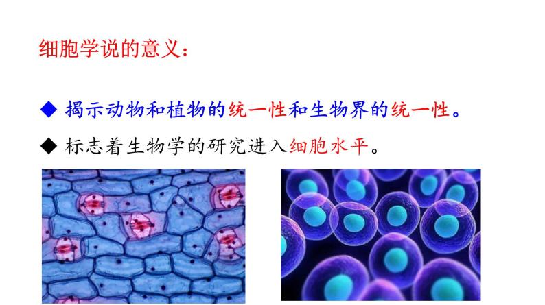 1.1 细胞是生命活动的基本单位 课件05