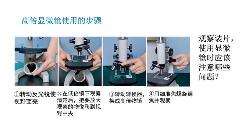 1.2  细胞的多样性和统一性 课件06