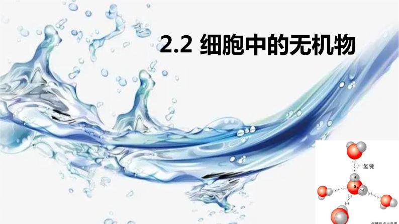 2.2 细胞中的无机物 课件01