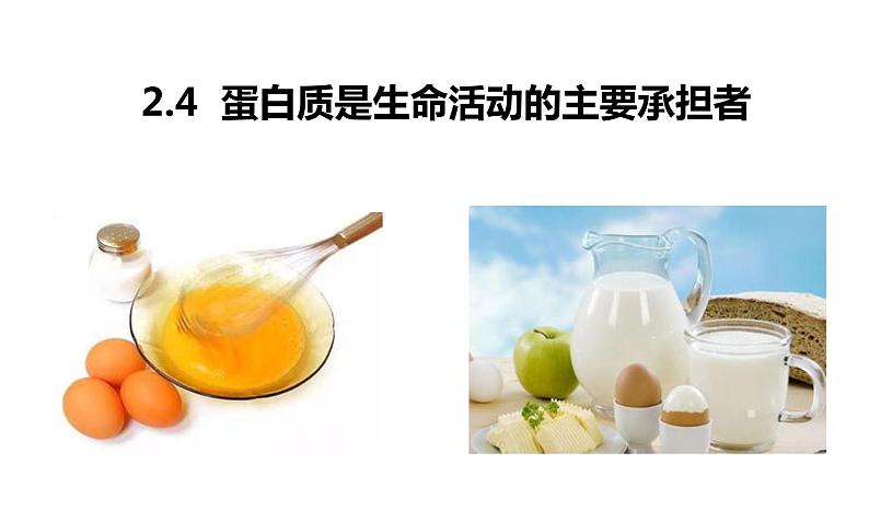 2.4 蛋白质是生命活动的主要承担者第1页