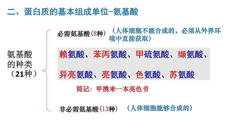 2.4 蛋白质是生命活动的主要承担者第4页