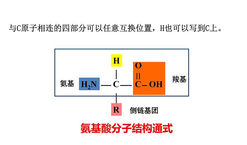 2.4 蛋白质是生命活动的主要承担者第6页