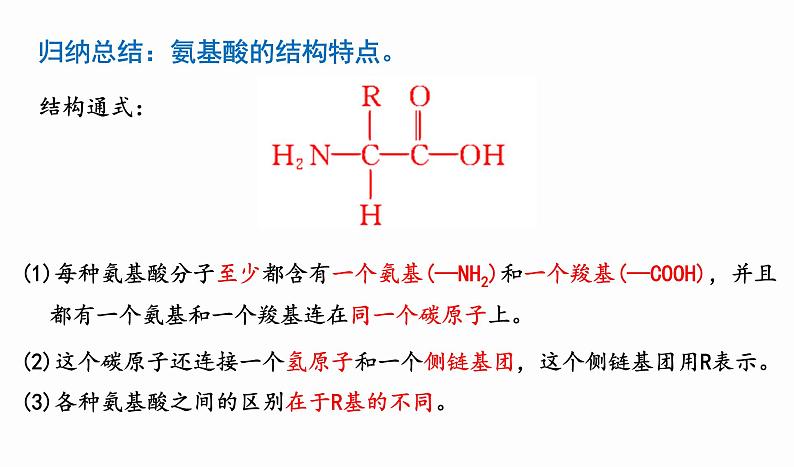 2.4 蛋白质是生命活动的主要承担者第7页