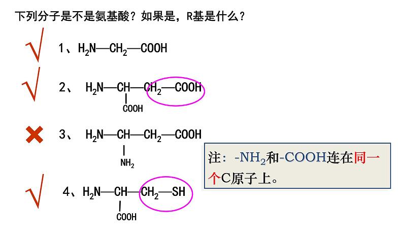 2.4 蛋白质是生命活动的主要承担者第8页