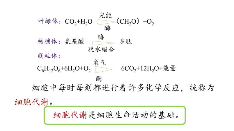5.1 降低化学反应活化能的酶（第一课时） 课件03