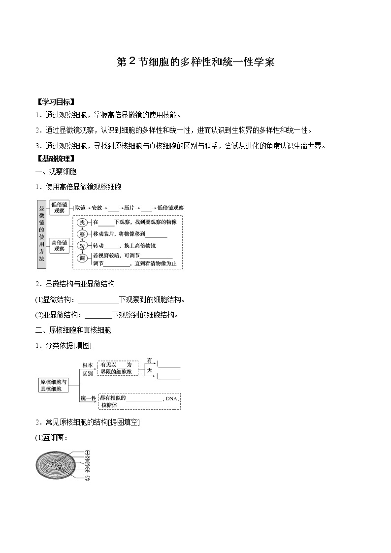 第2节细胞的多样性和统一性学案01
