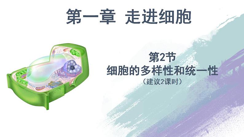 高中生物必修一 第2节 细胞的多样性和统一性 课件8.1301