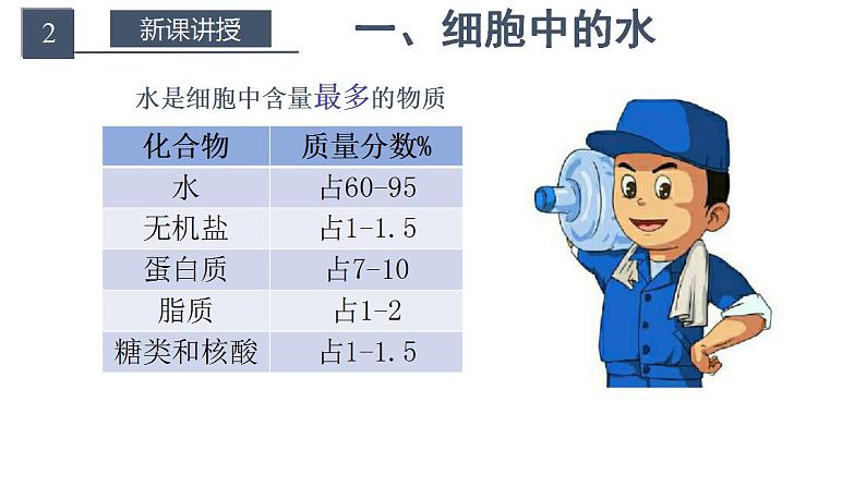 高中生物必修一 2.2 细胞中的无机物 课件 (思维导图)第4页