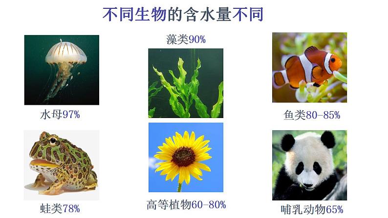 高中生物必修一 2.2 细胞中的无机物 课件 (思维导图)第5页