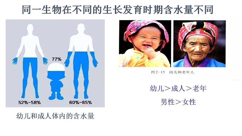 高中生物必修一 2.2 细胞中的无机物 课件 (思维导图)第6页