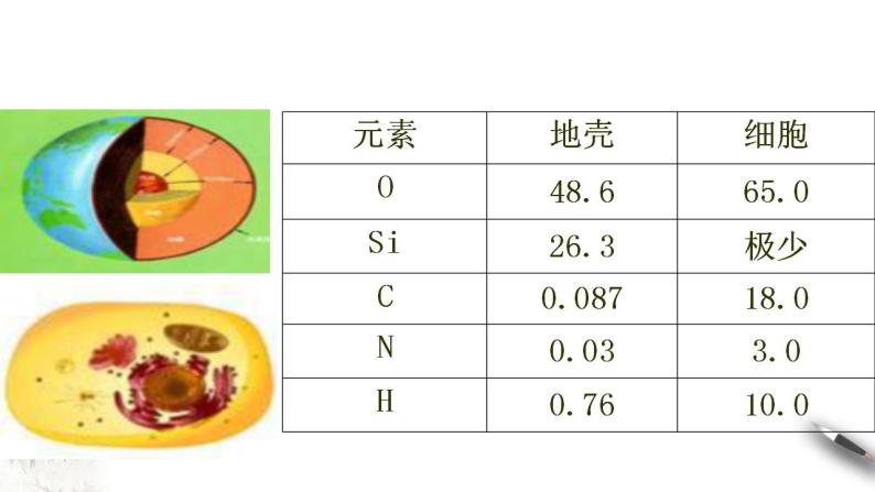 高中生物必修一 2.1 细胞中的元素和化合物 课件02