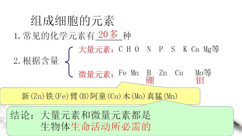 高中生物必修一 2.1 细胞中的元素和化合物 课件05