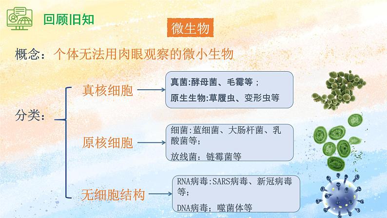 1.2.1微生物的基本培养技术高二生物(人教版2019选择性必修3) 课件+学案04
